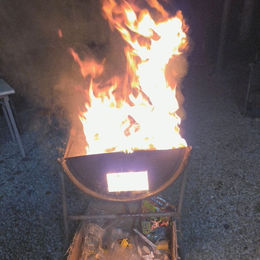 피드 이미지