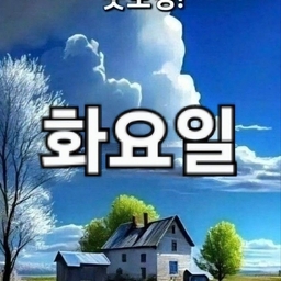 피드에 업로드 된 이미지