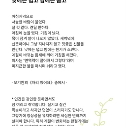 피드에 업로드 된 이미지