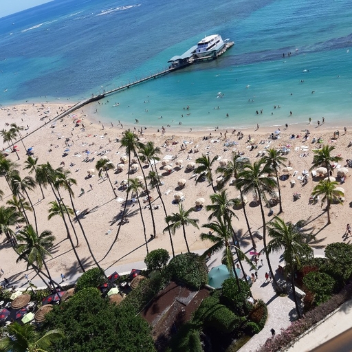 모임 대표 이미지