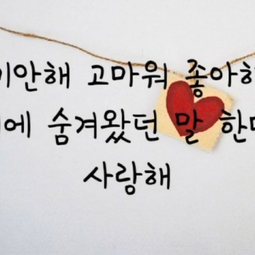 피드 이미지