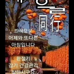 피드에 업로드 된 이미지