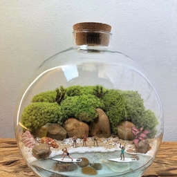 피드에 업로드 된 이미지