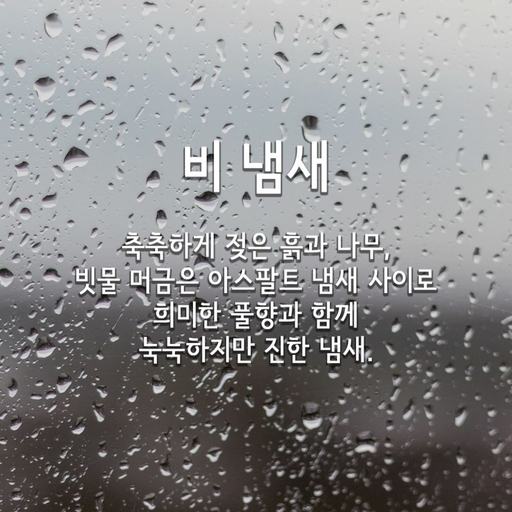 피드 이미지