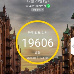 피드에 업로드 된 이미지