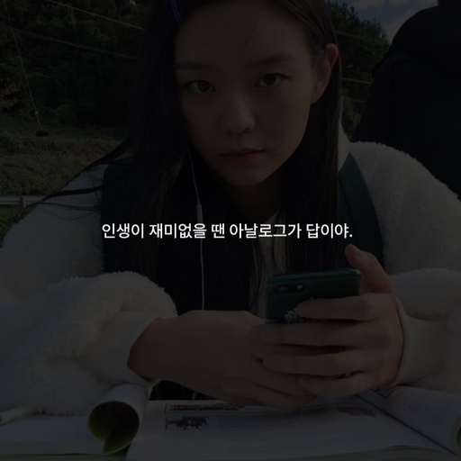 피드 이미지