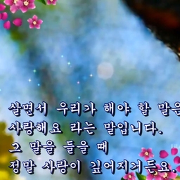 피드에 업로드 된 이미지