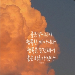 피드에 업로드 된 이미지