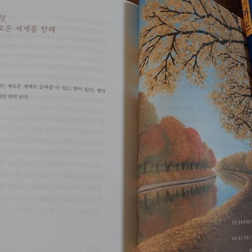 피드 이미지