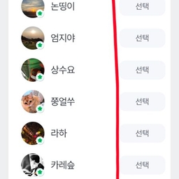 피드에 업로드 된 이미지