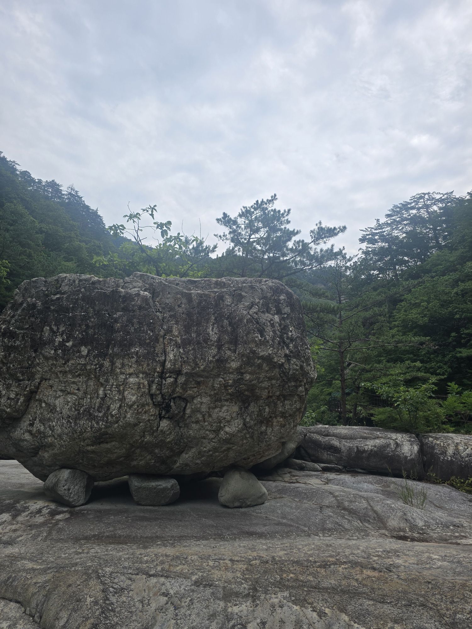 피드 이미지