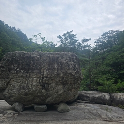 피드에 업로드 된 이미지