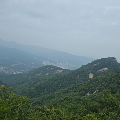 피드 이미지