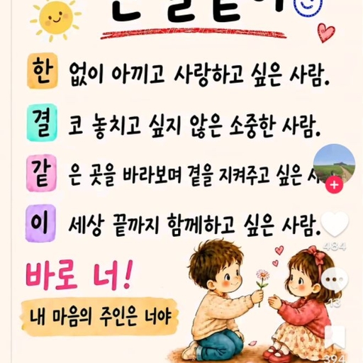 피드 이미지
