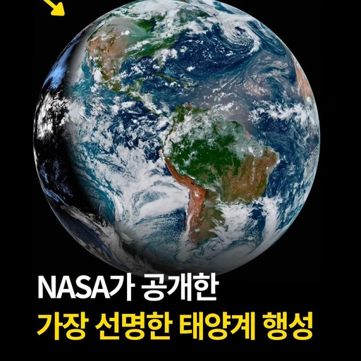 피드 이미지