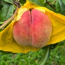 멤버 프로필