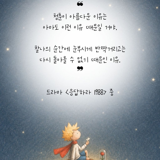 피드 이미지