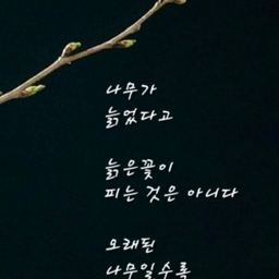 피드에 업로드 된 이미지
