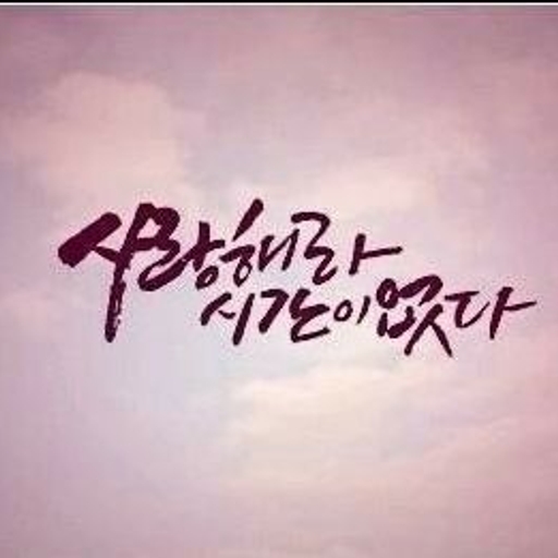 피드 이미지