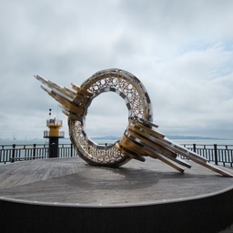 피드에 업로드 된 이미지