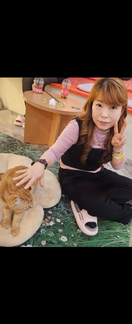 피드 이미지