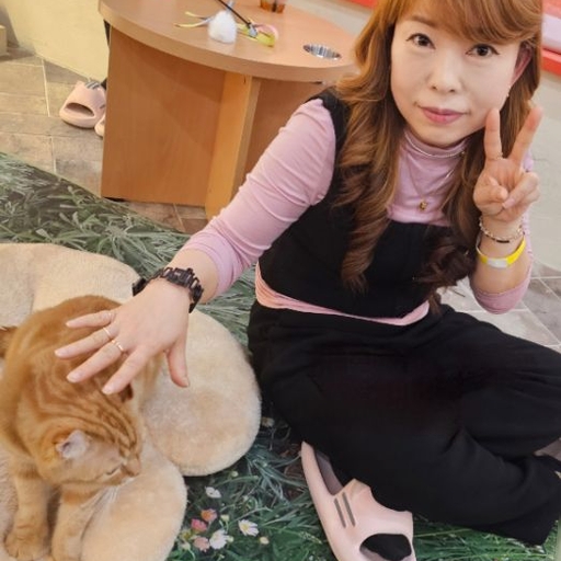 피드 이미지