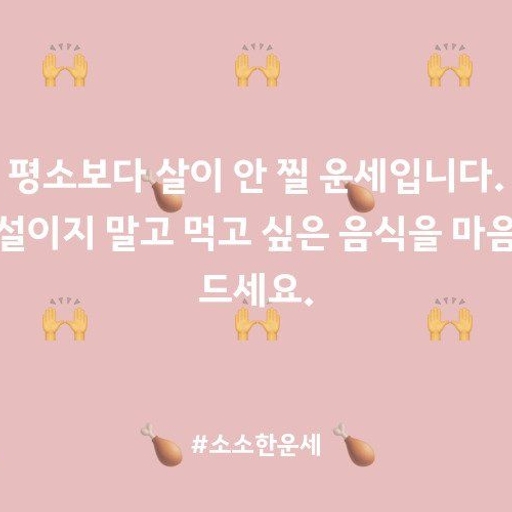 피드 이미지