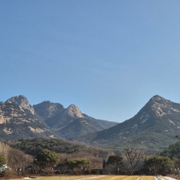 ํผ๋์ ์
๋ก๋ ๋ ์ด๋ฏธ์ง