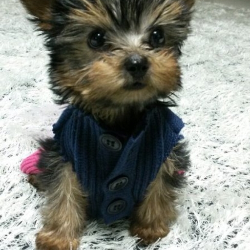 모임 대표 이미지