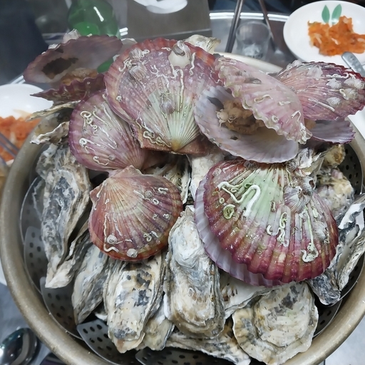 피드 이미지