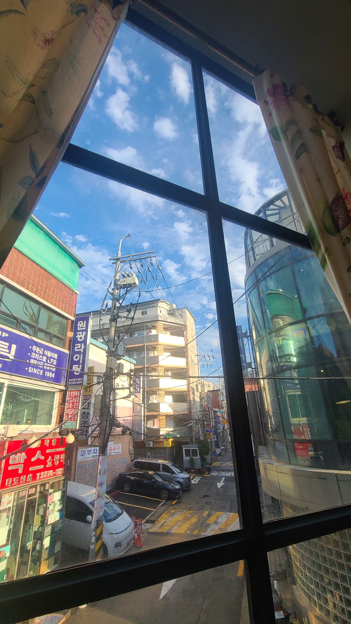 피드 이미지