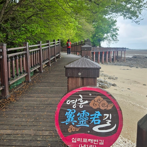 피드 이미지
