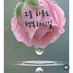 피드에 업로드 된 이미지