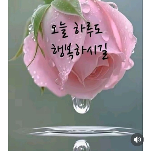 피드 이미지