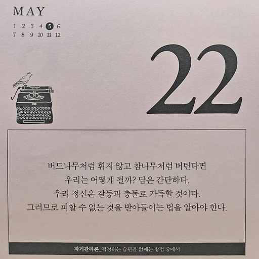 피드 이미지