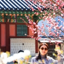 피드 작성자 프로필