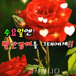 피드에 업로드 된 이미지