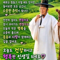 피드에 업로드 된 이미지