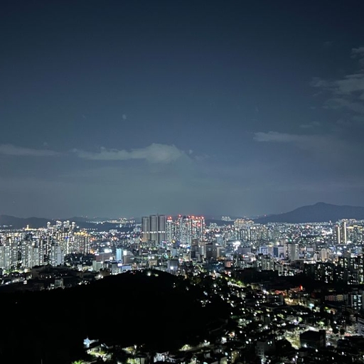 피드 이미지