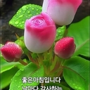 유저 프로필