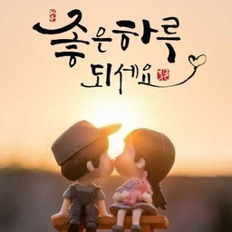피드에 업로드 된 이미지