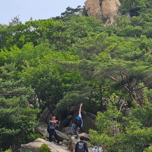 피드 이미지