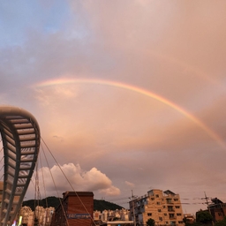 피드에 업로드 된 이미지