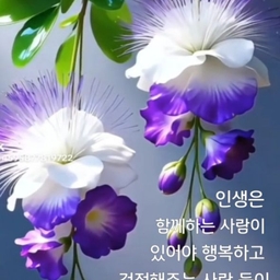 피드에 업로드 된 이미지