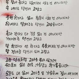 피드에 업로드 된 이미지