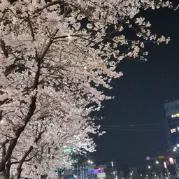 피드에 업로드 된 이미지