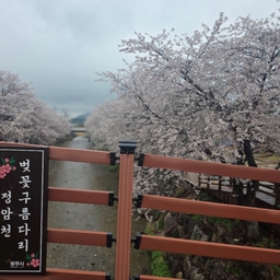 피드에 업로드 된 이미지