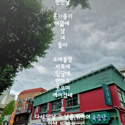 피드에 업로드 된 이미지