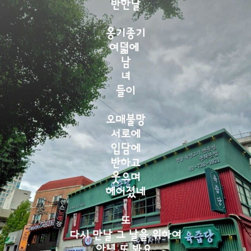 피드 이미지