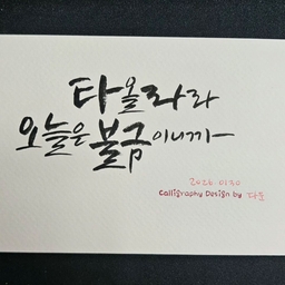 피드에 업로드 된 이미지